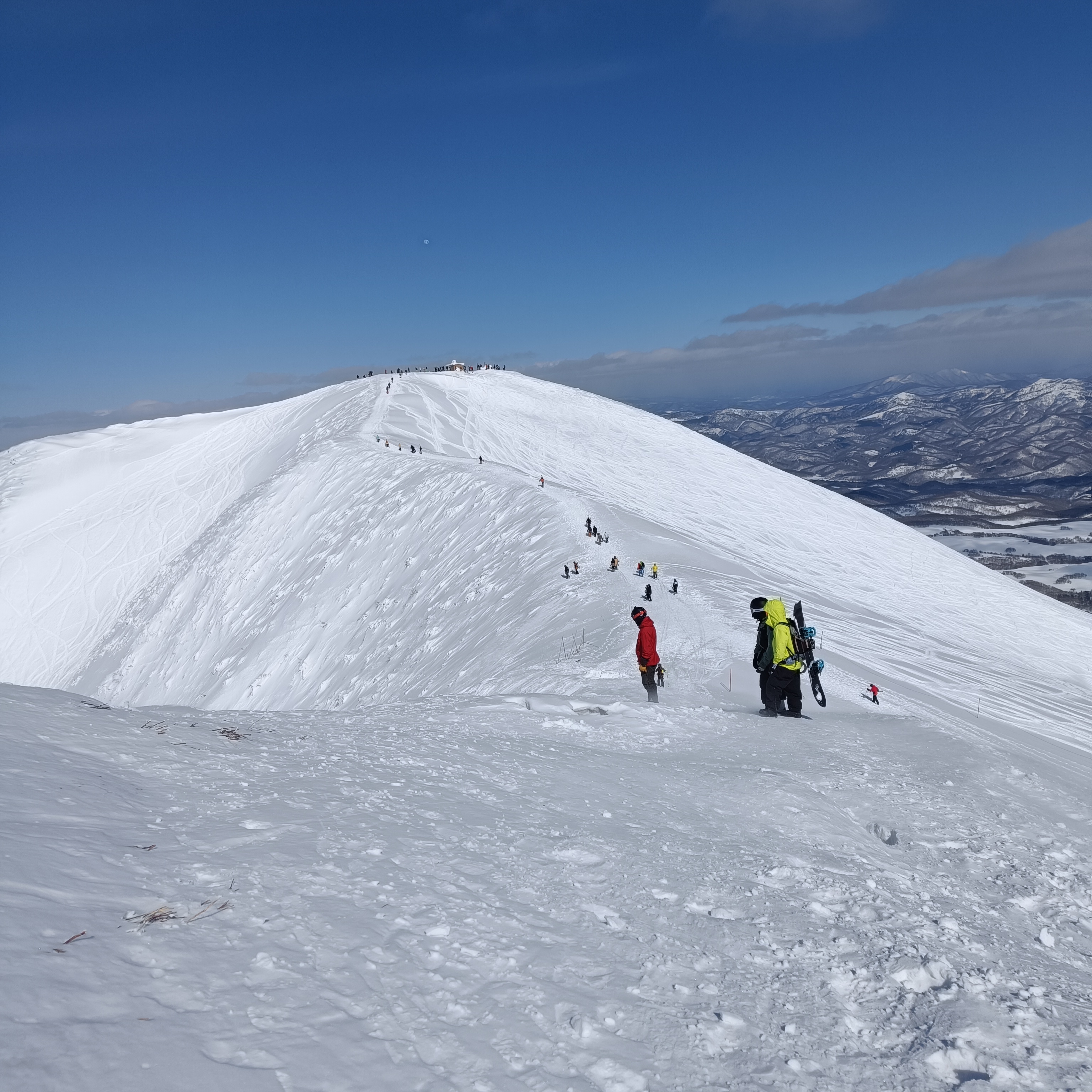 Team DIPLAN Hero Background